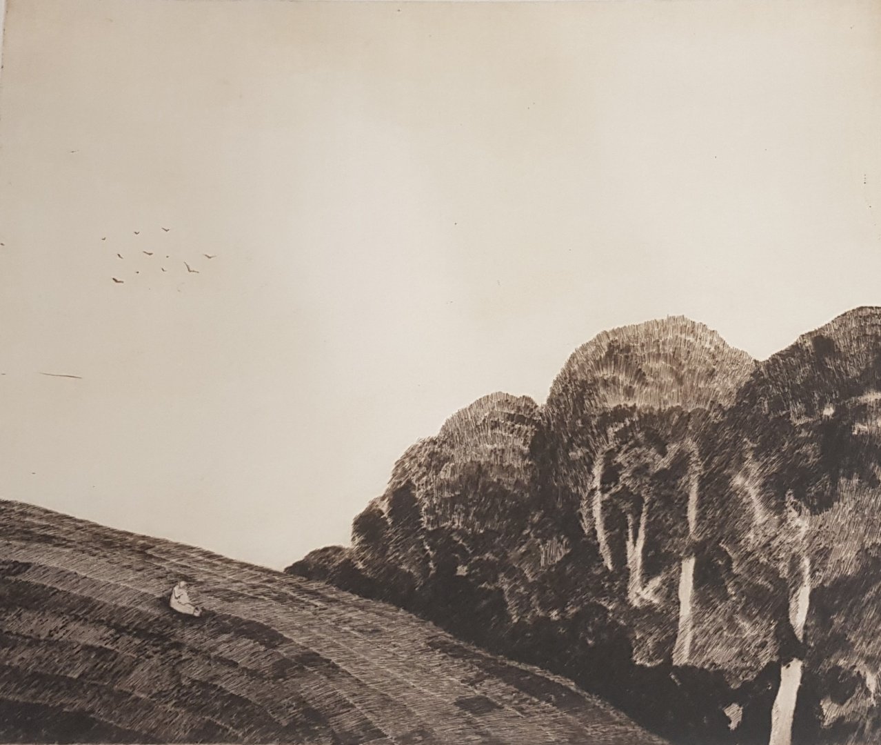 Léto 16 -017