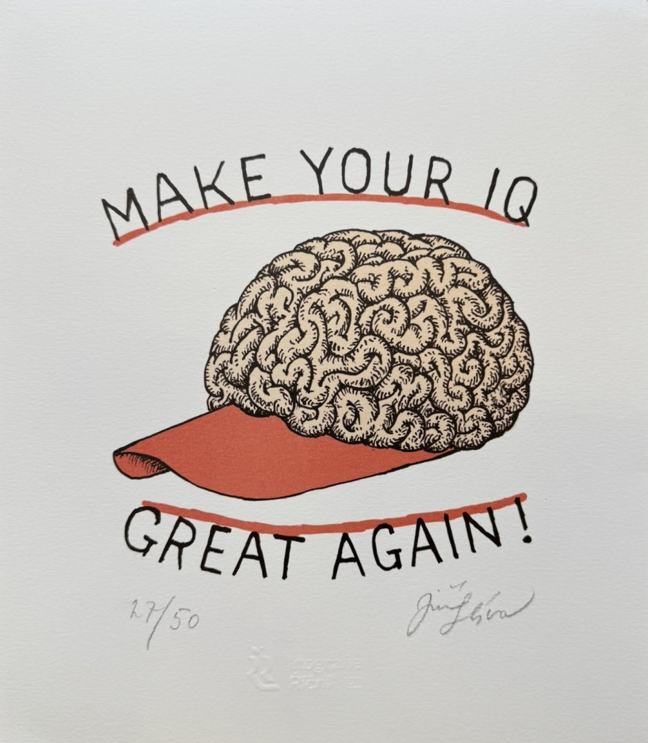 Make your IQ great again