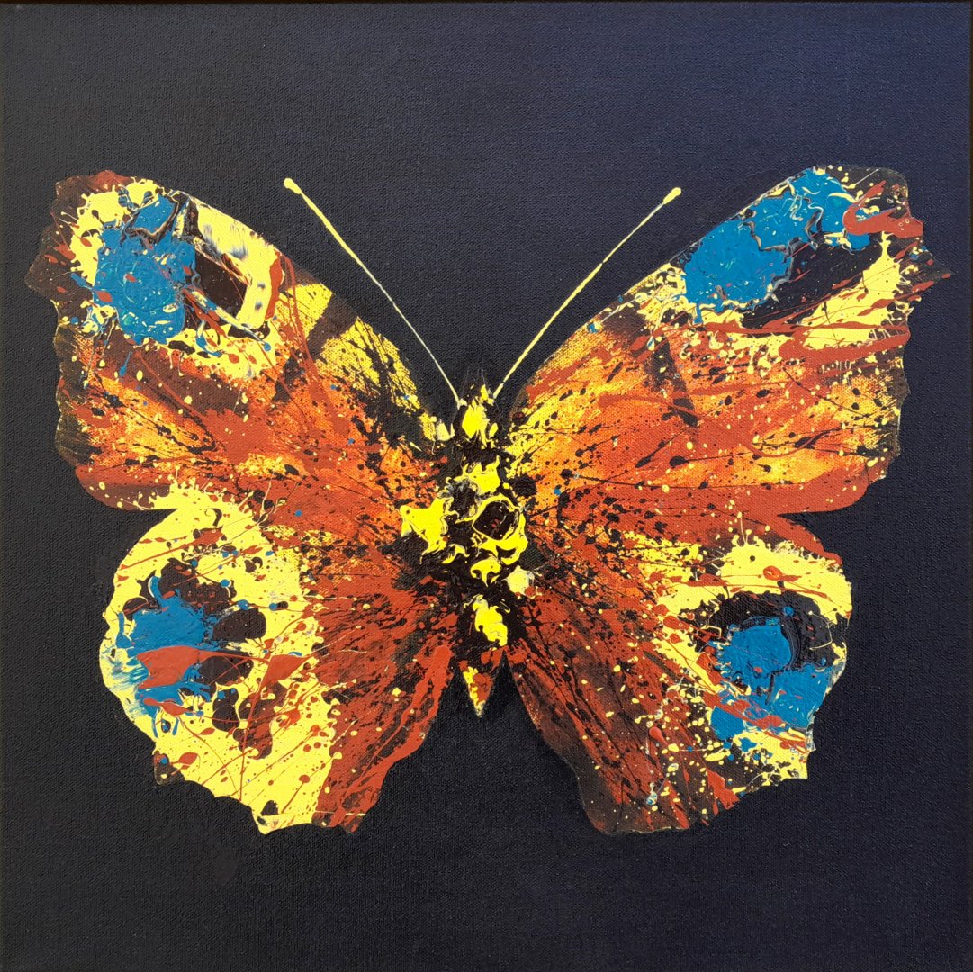 Papilio N°1